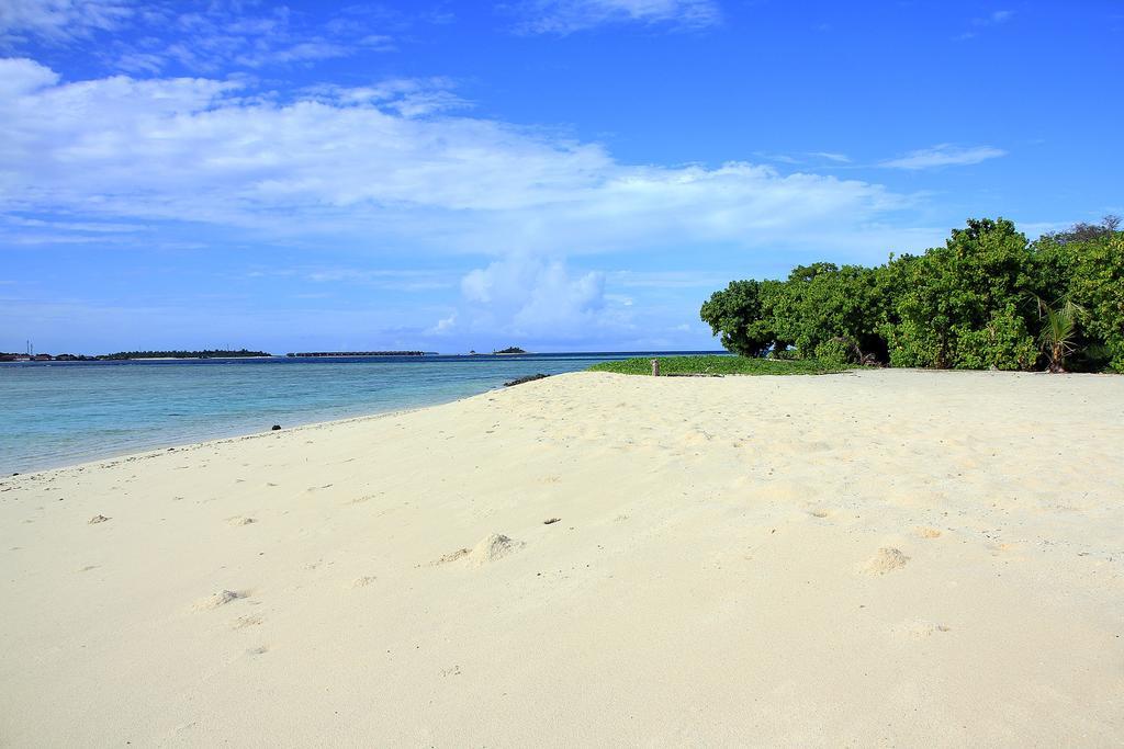 Готель Tropic Tree Maldives Ґалі Екстер'єр фото