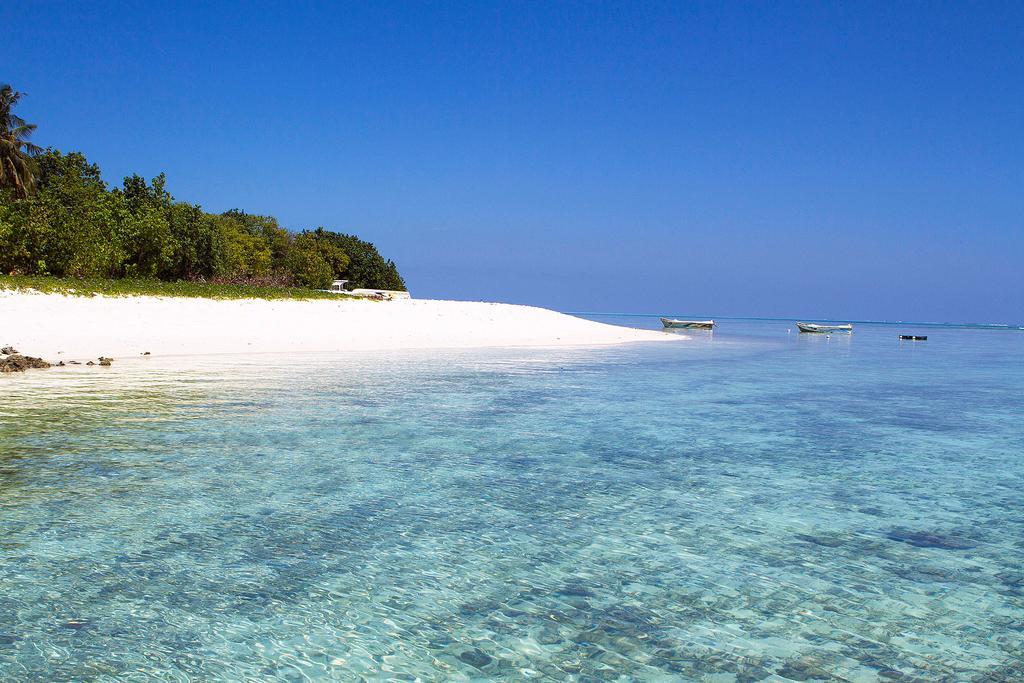 Готель Tropic Tree Maldives Ґалі Екстер'єр фото
