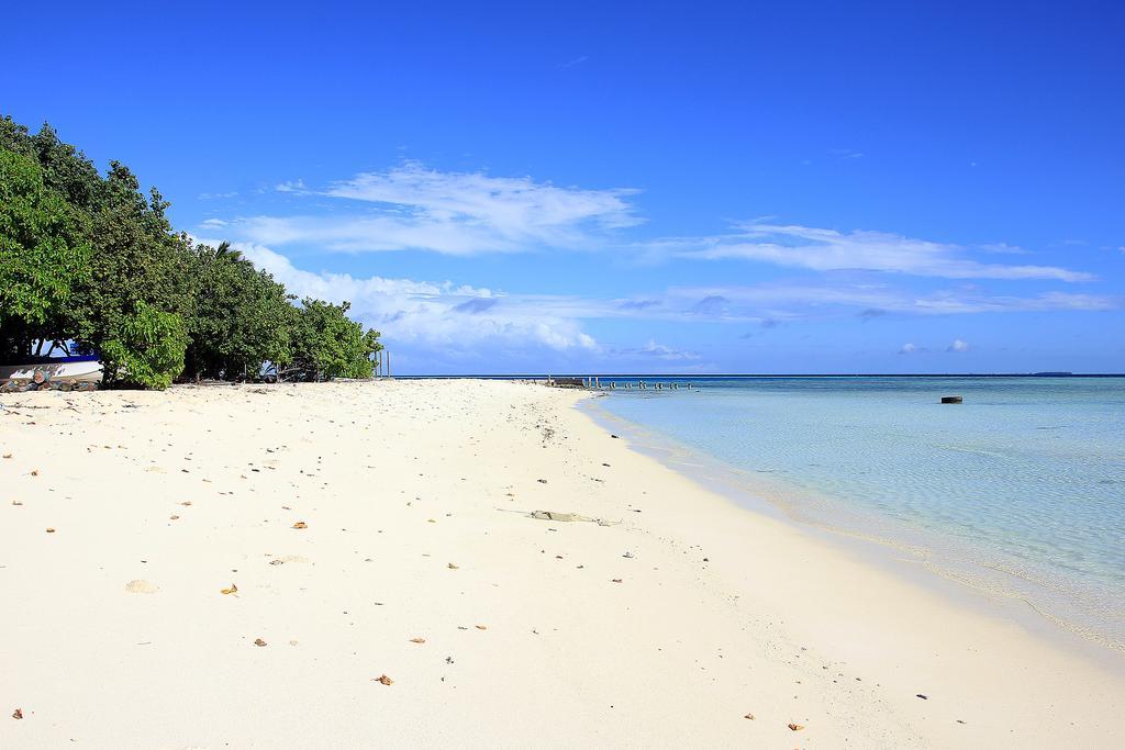 Готель Tropic Tree Maldives Ґалі Екстер'єр фото