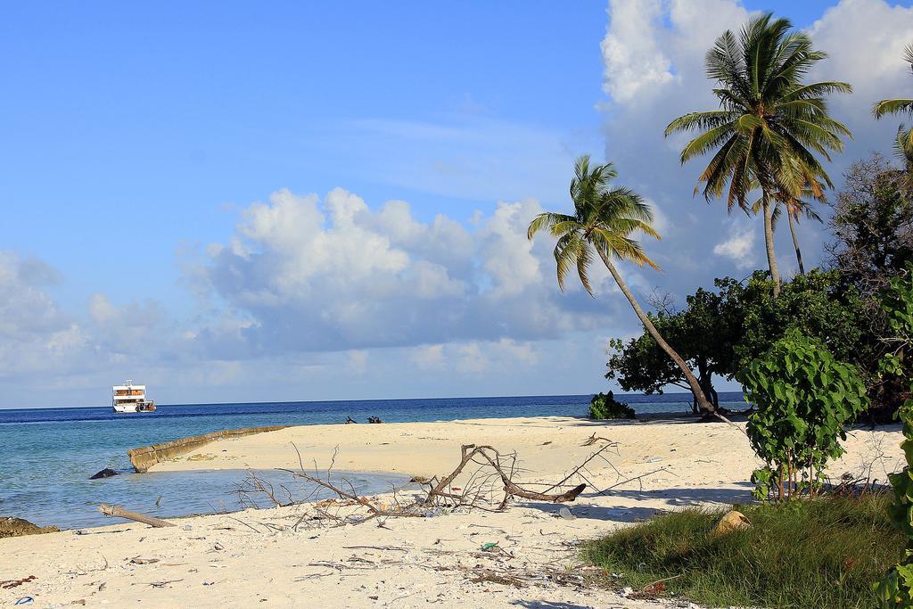Готель Tropic Tree Maldives Ґалі Екстер'єр фото