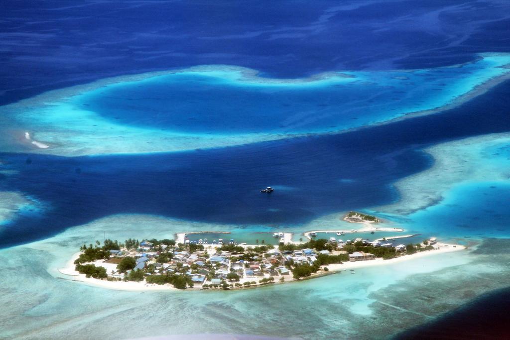 Готель Tropic Tree Maldives Ґалі Екстер'єр фото