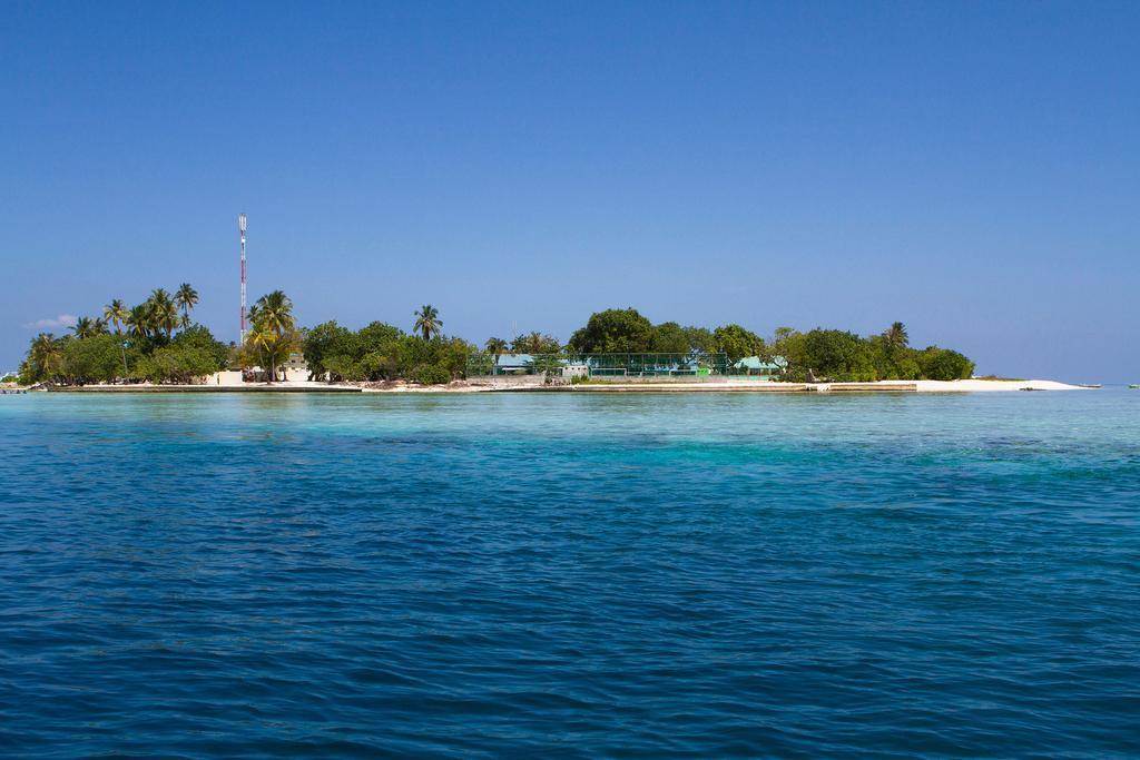 Готель Tropic Tree Maldives Ґалі Екстер'єр фото